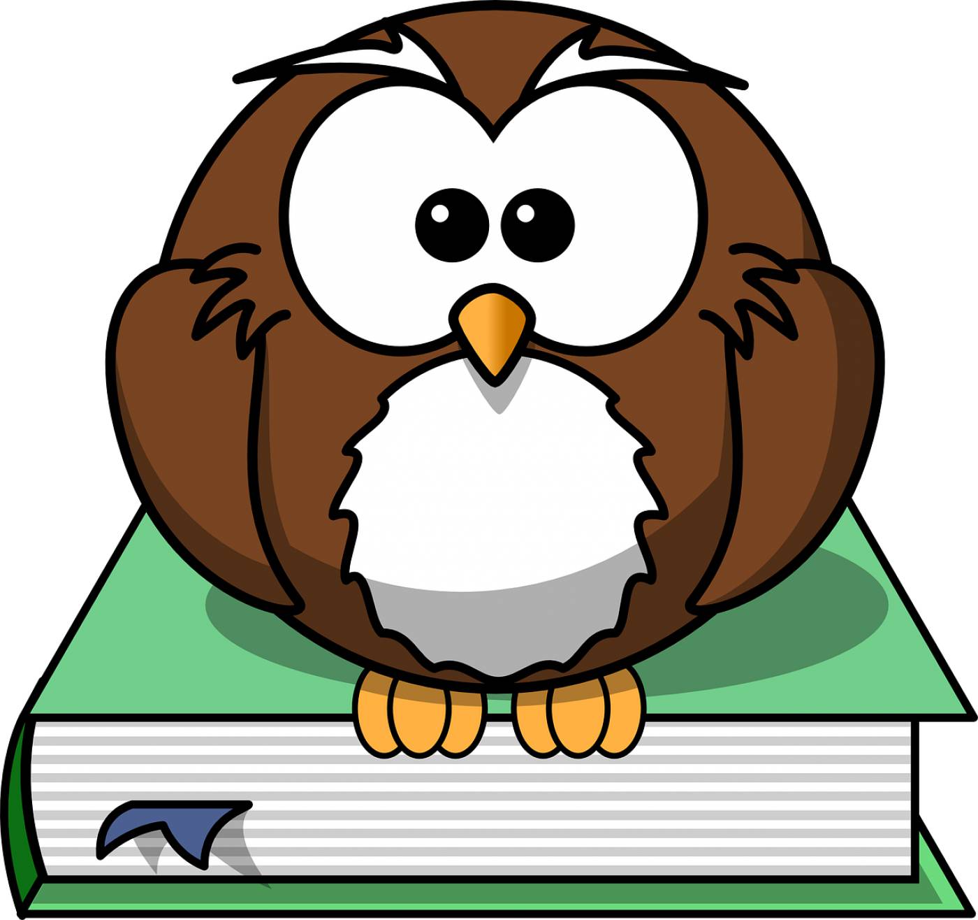 book owl wisdom knowledge sit  svg vector