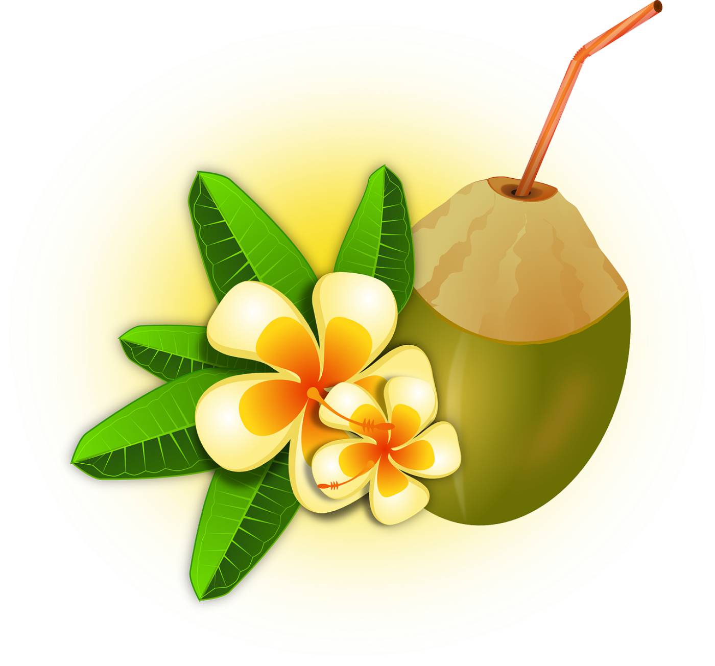 cocktail coconut drink flower food  svg vector