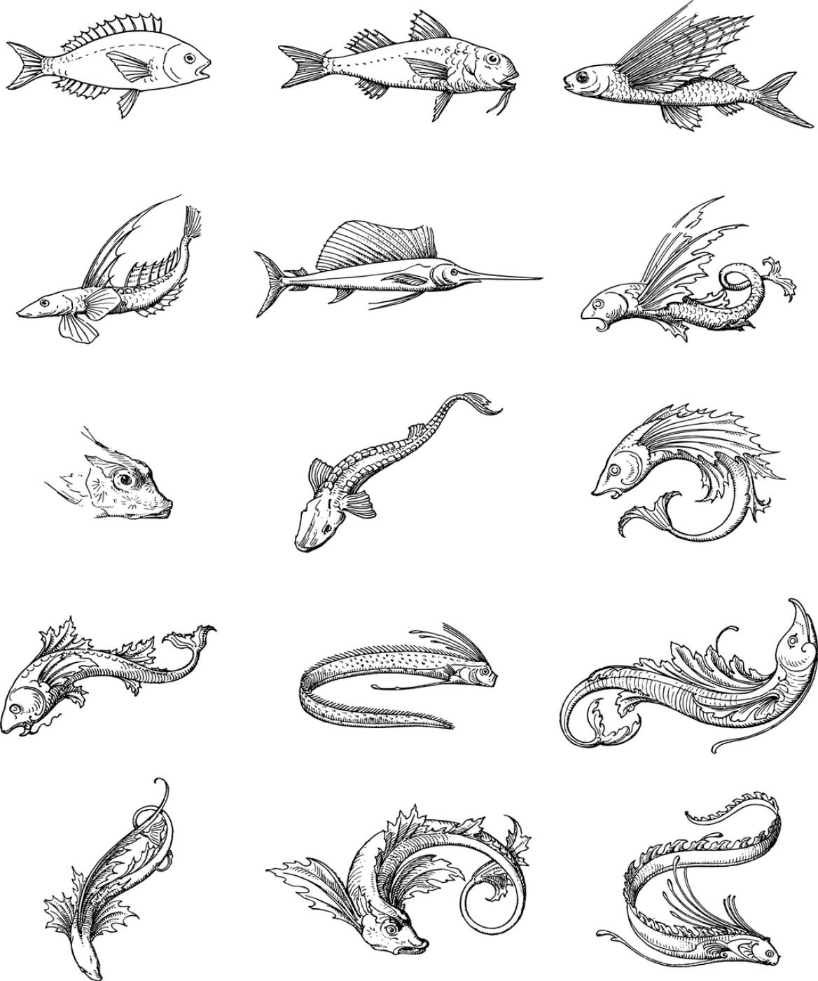 fish vintage line art animals  svg vector