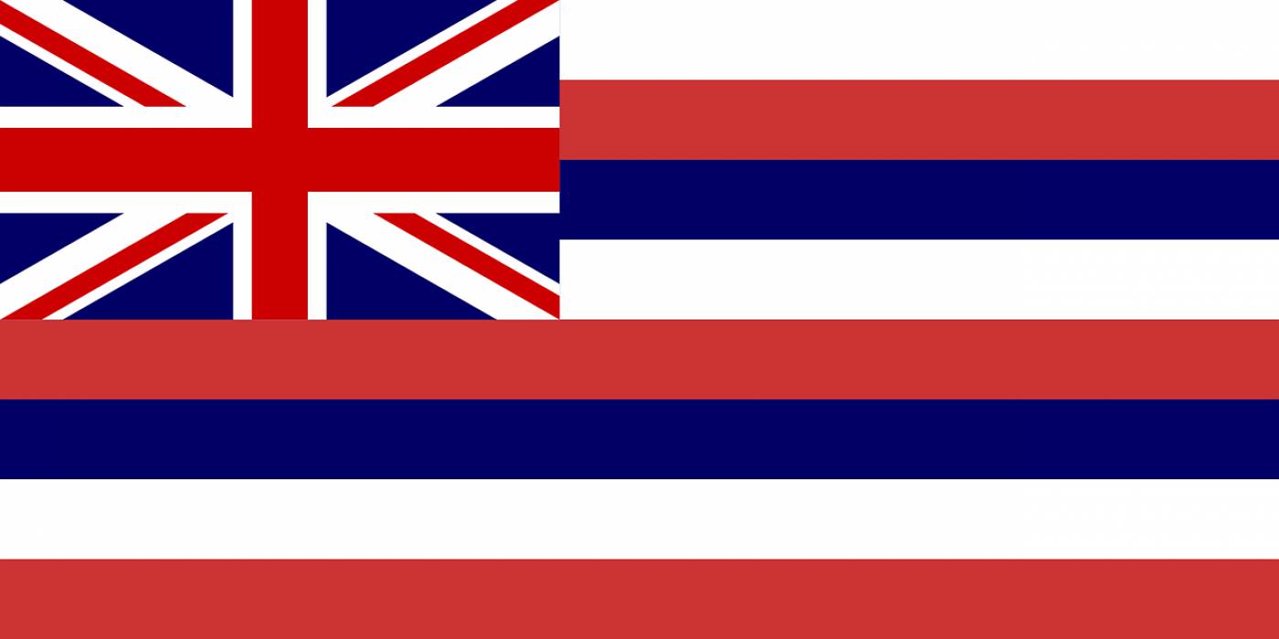 flag hawaii state stripes  svg vector