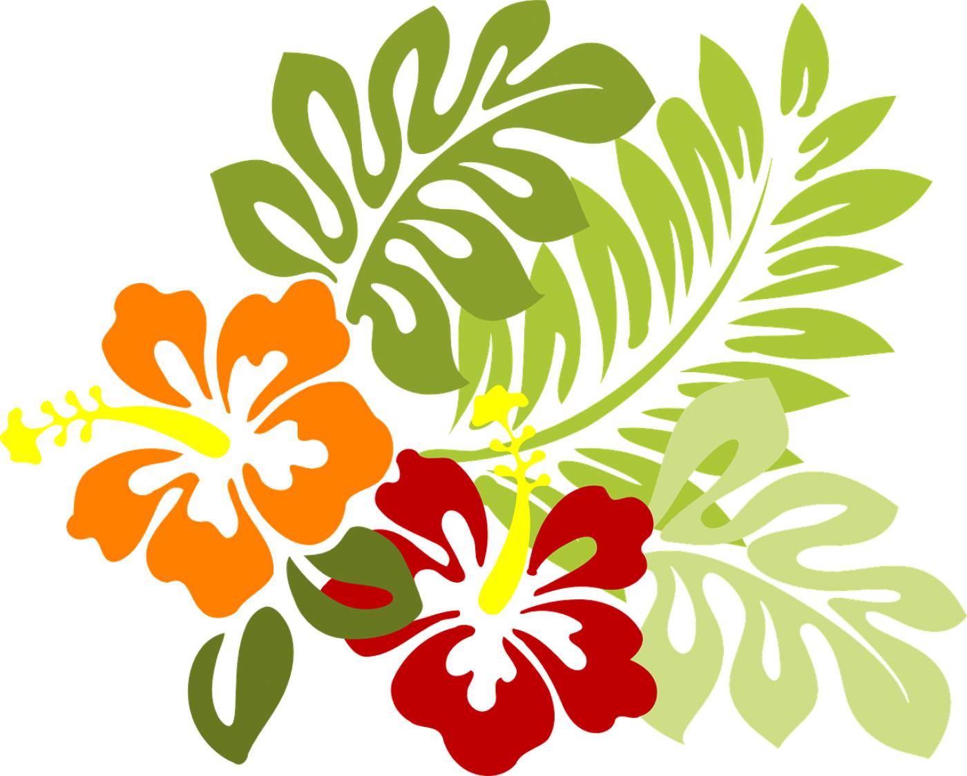 flower tropical leaves hibiscus  svg vector
