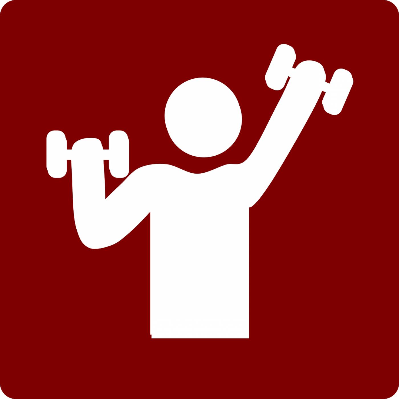 gym weight lifting training  svg vector