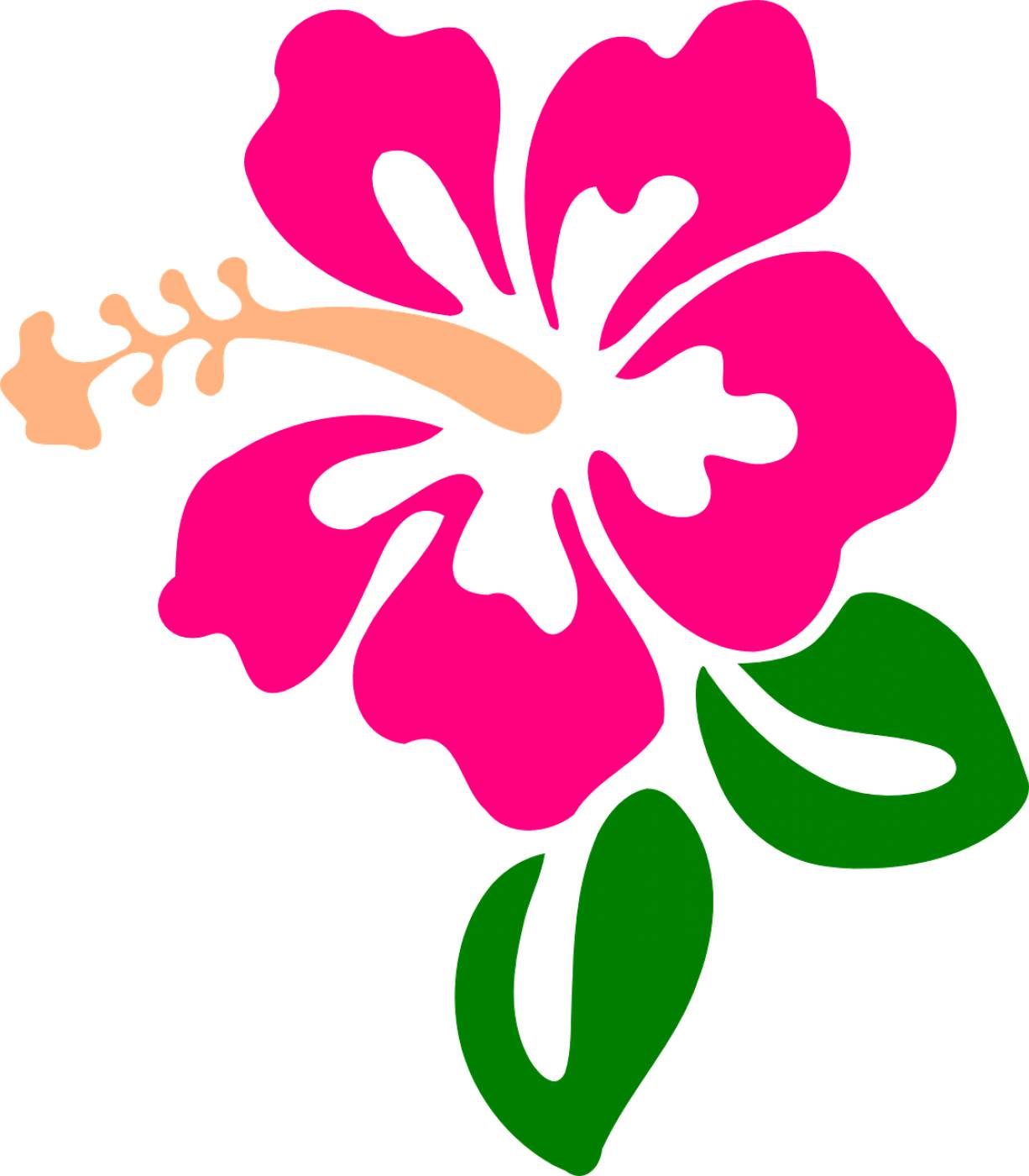 hibiscus flower tropic bloom  svg vector