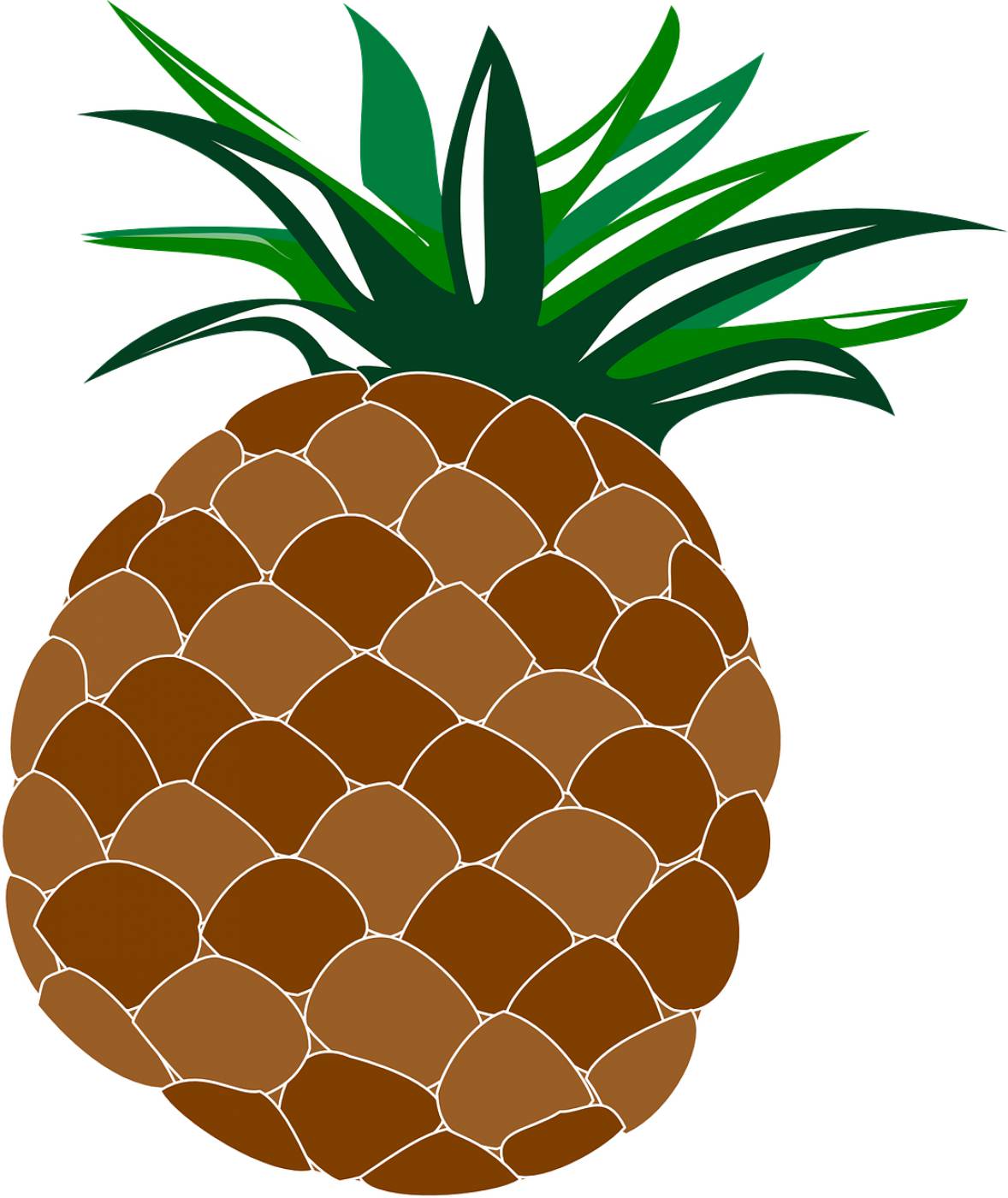 pineapple food fruit hawaii  svg vector