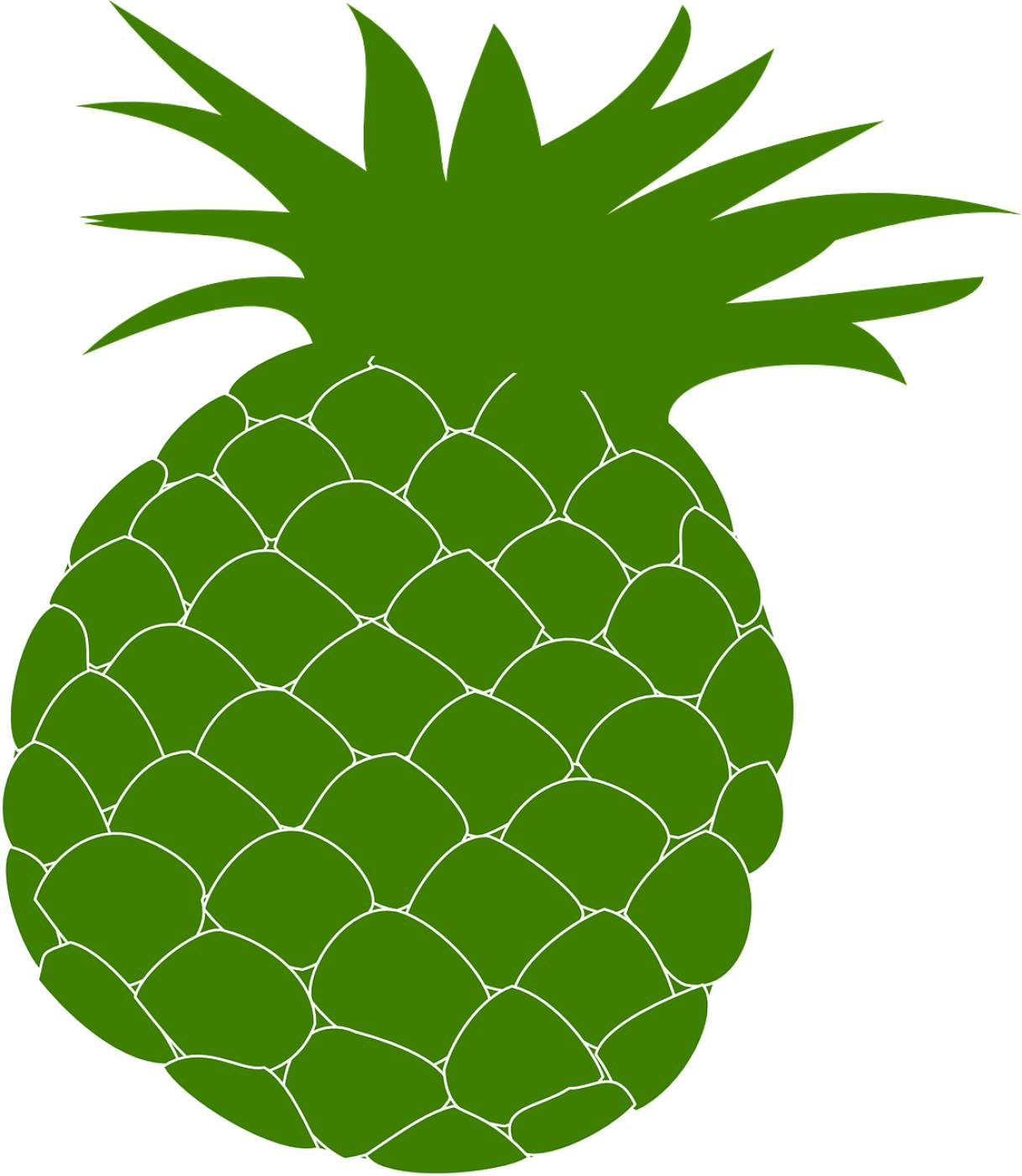 pineapple green food fruit health  svg vector
