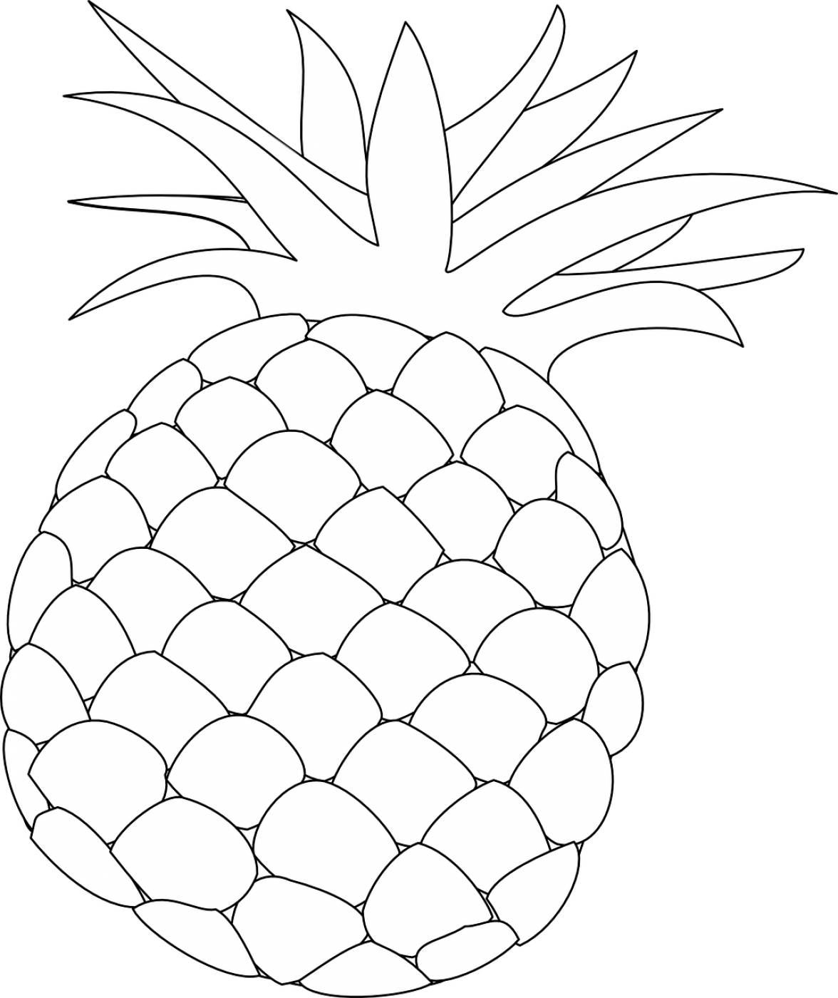 pineapple outline food fruit  svg vector