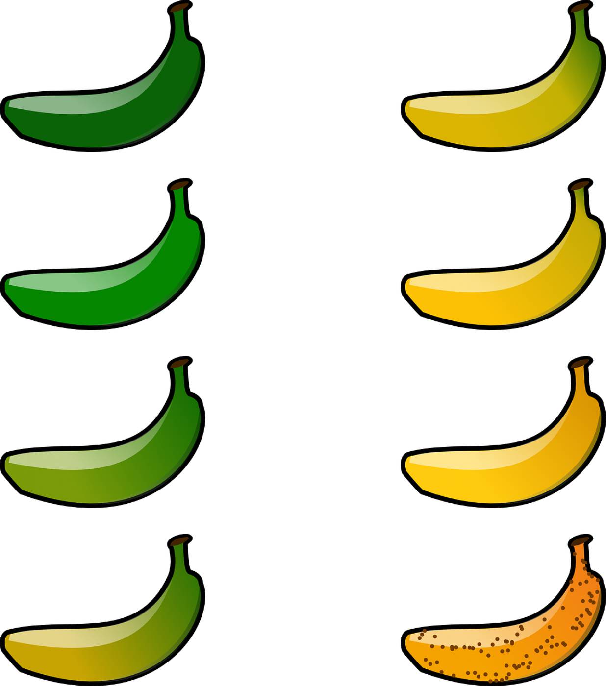 banana degree of ripeness ripeness  svg vector