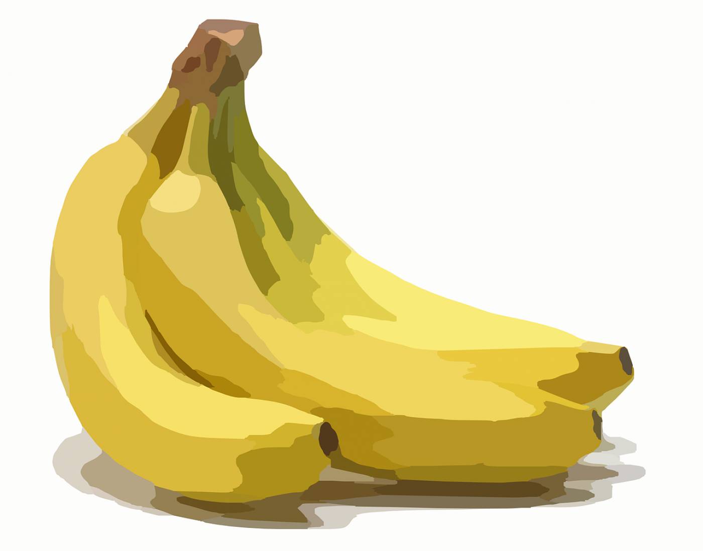 banana food fruit plant peel  svg vector