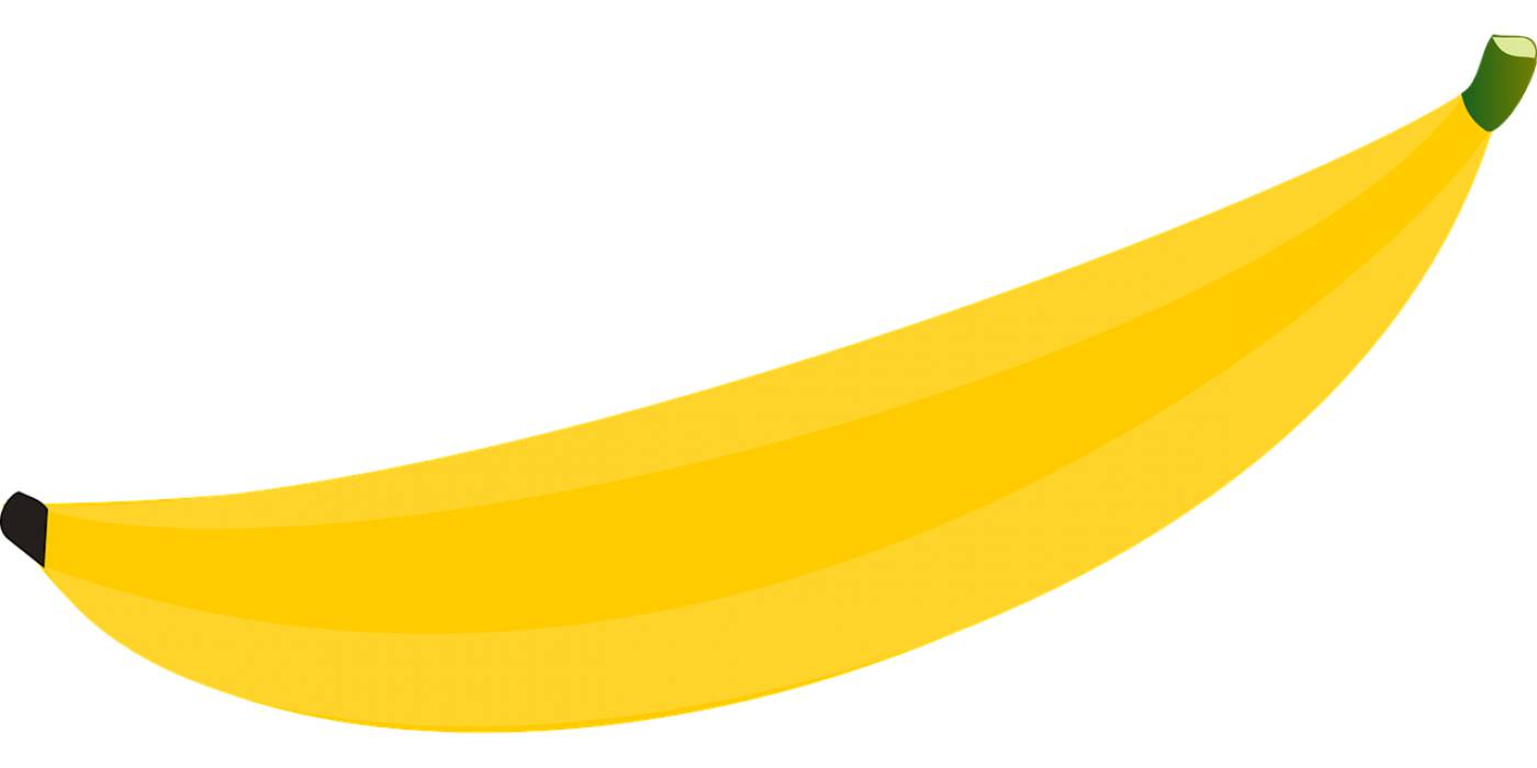 banana fruit food vector image  svg vector