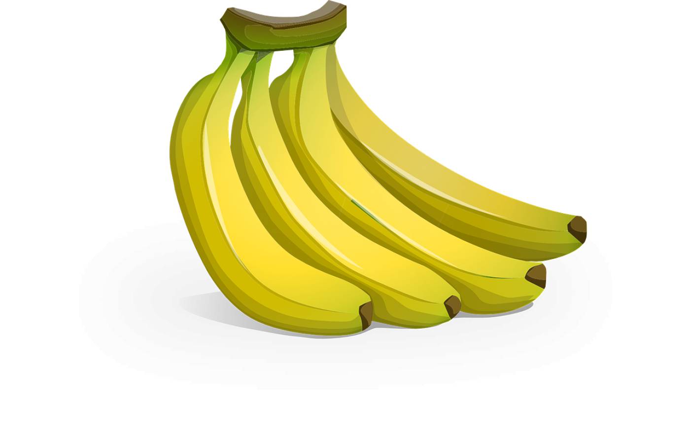bananas fruit food yellow fruit  svg vector