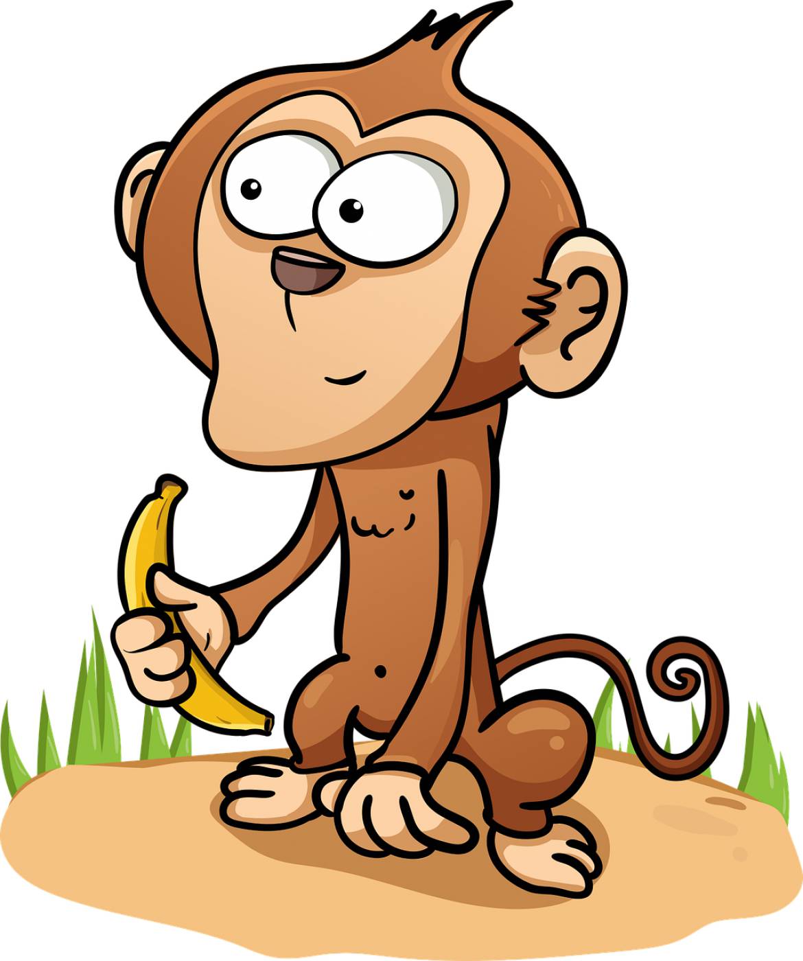 monkey marmoset banana chimpanzee  svg vector