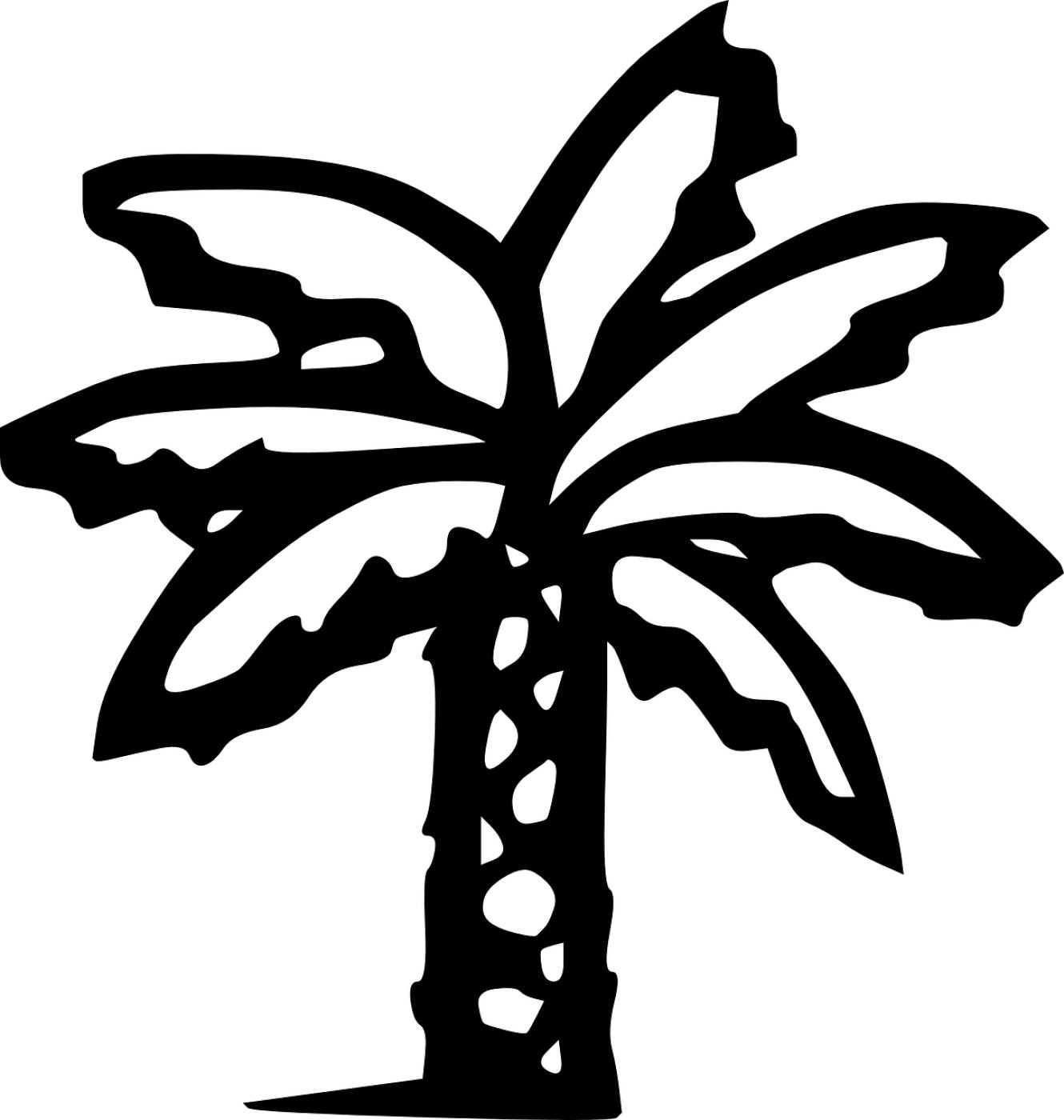 palm tree banana tree palm tropical  svg vector