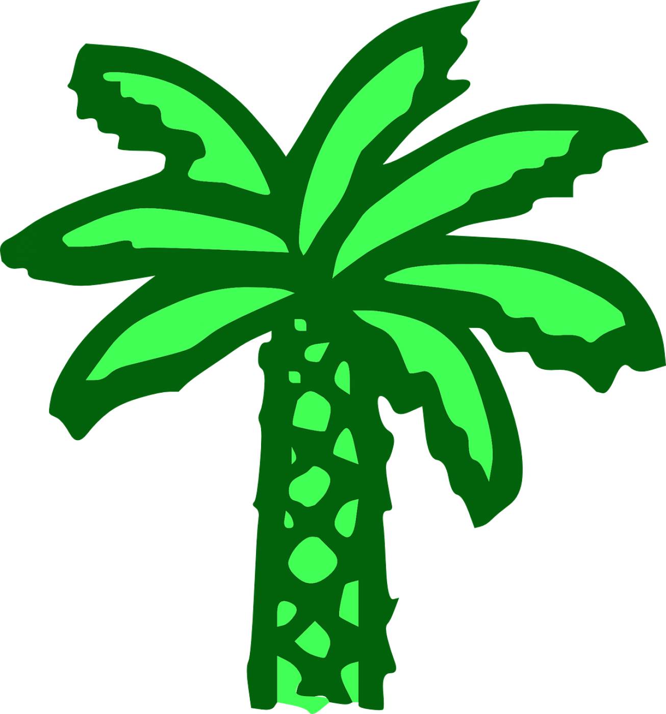 palm tree green beach banana tree  svg vector
