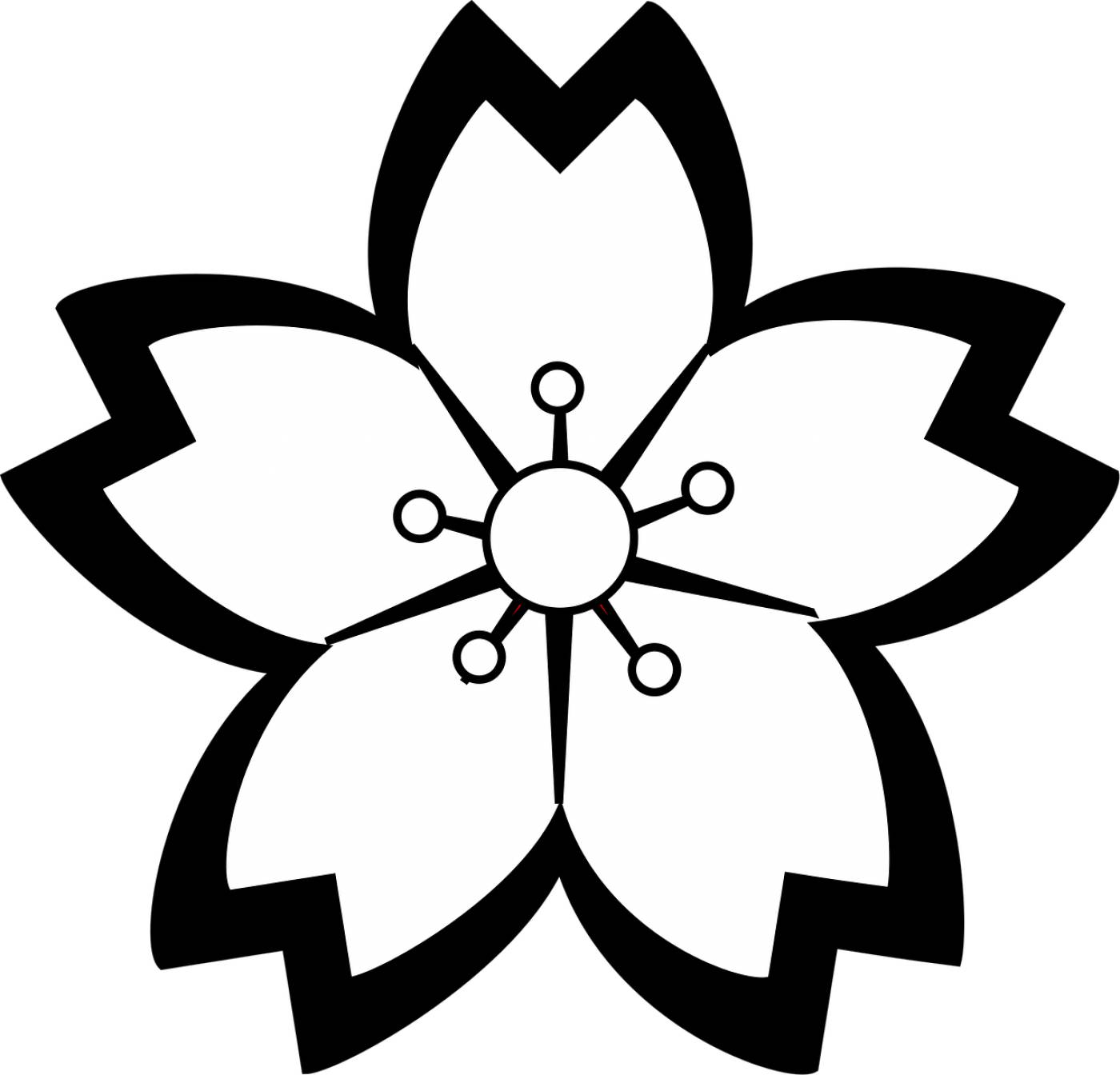 lily flower blossom outline  svg vector