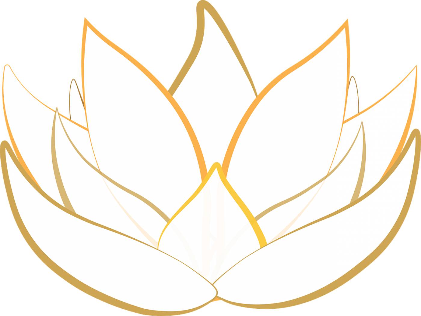 lotus transparent blossom graphic  svg vector