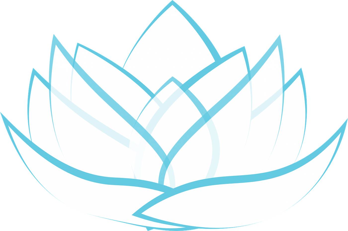 lotus transparent blossom graphic  svg vector