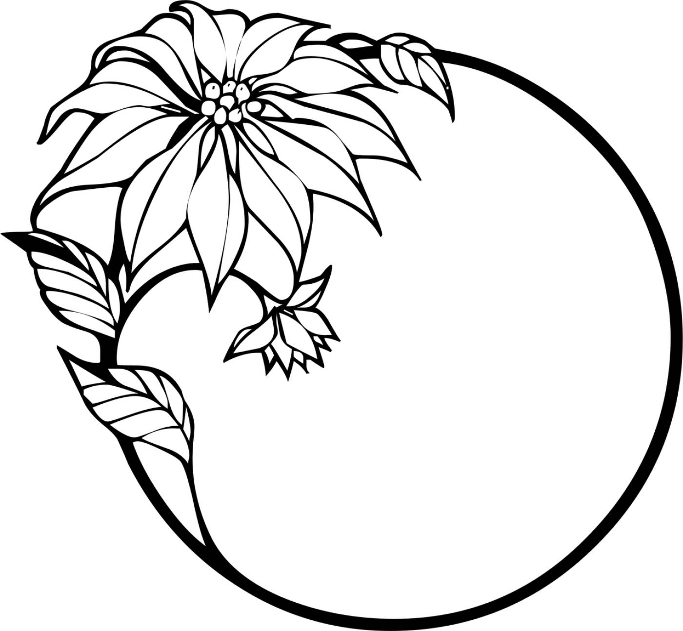 poinsettia christmas  svg vector