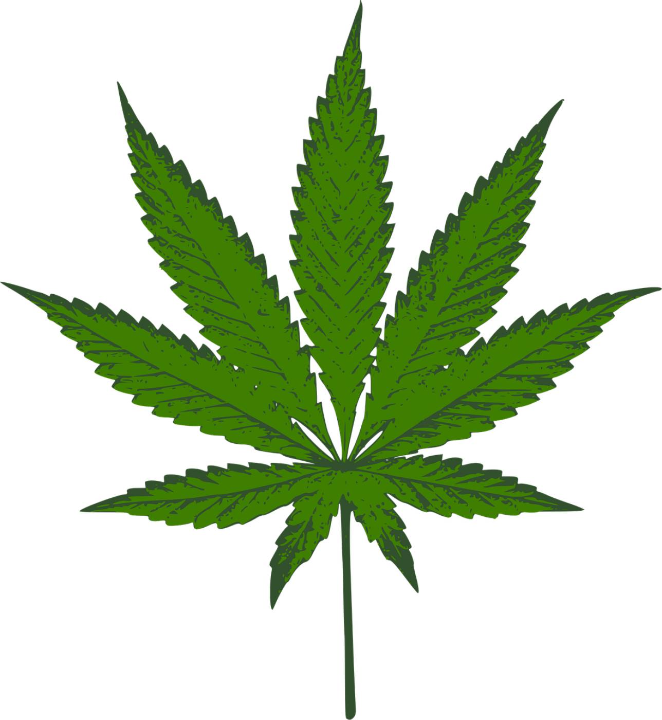 sativa weed mary jane blow hemp  svg vector