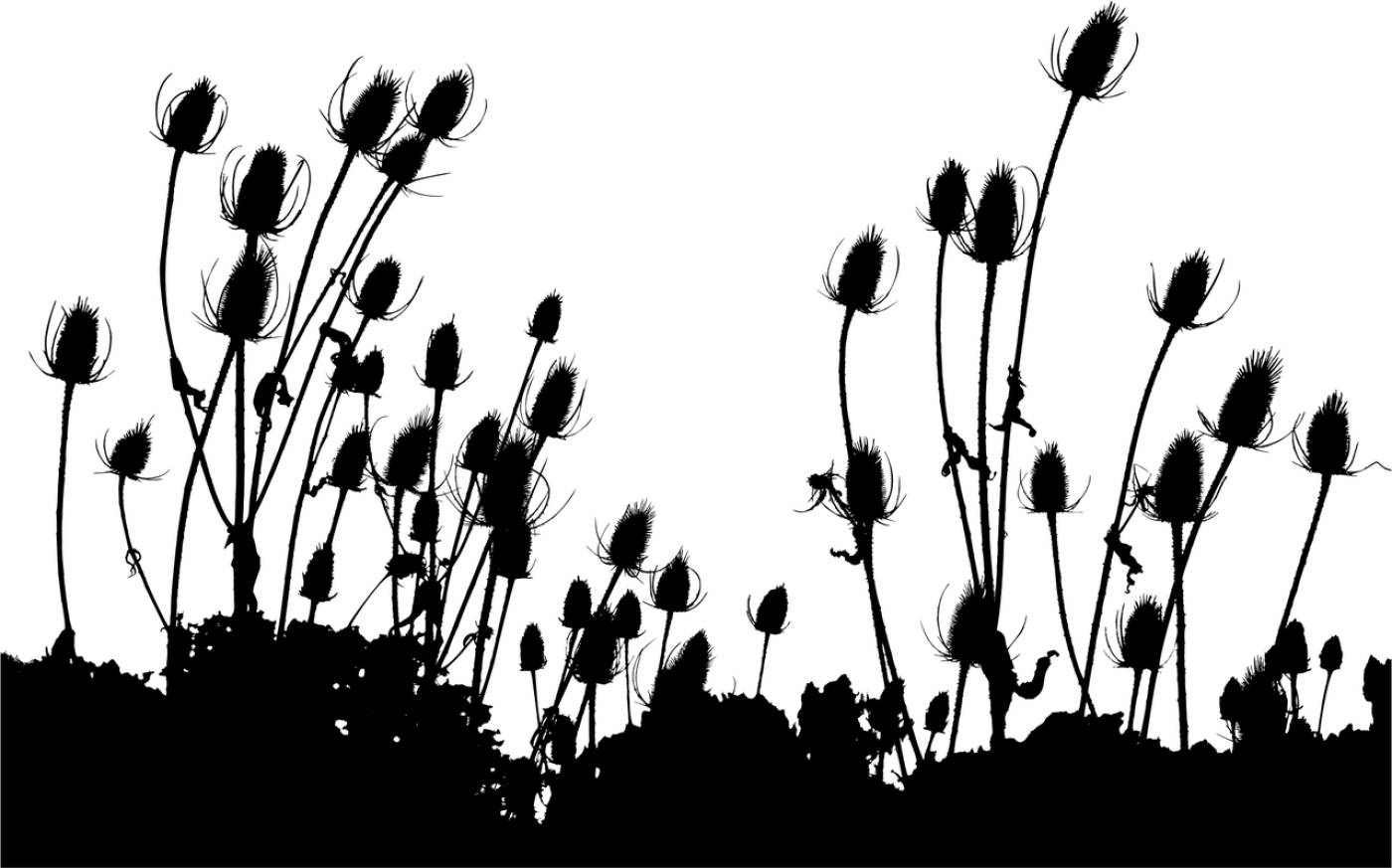 silhouette field meadow grass  svg vector