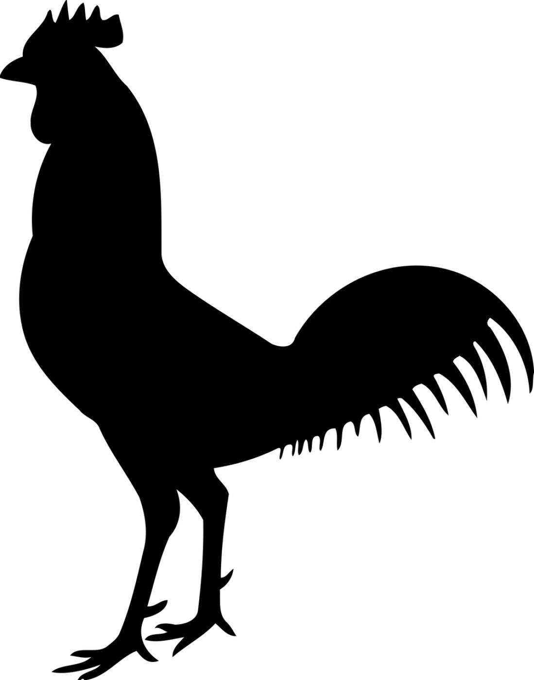 animal bird chicken cock hen  svg vector
