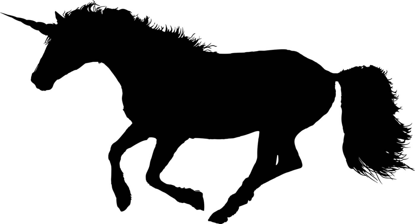 animal equine galloping horse  svg vector