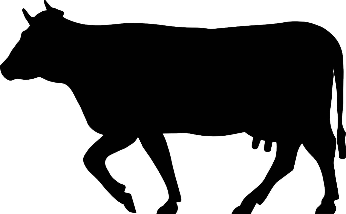 cow cattle beef animal mammal  svg vector