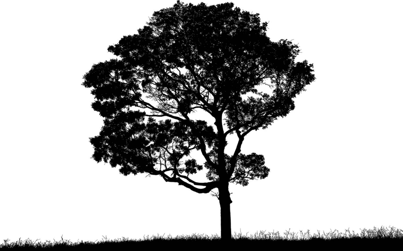 tree landscape silhouette plant  svg vector
