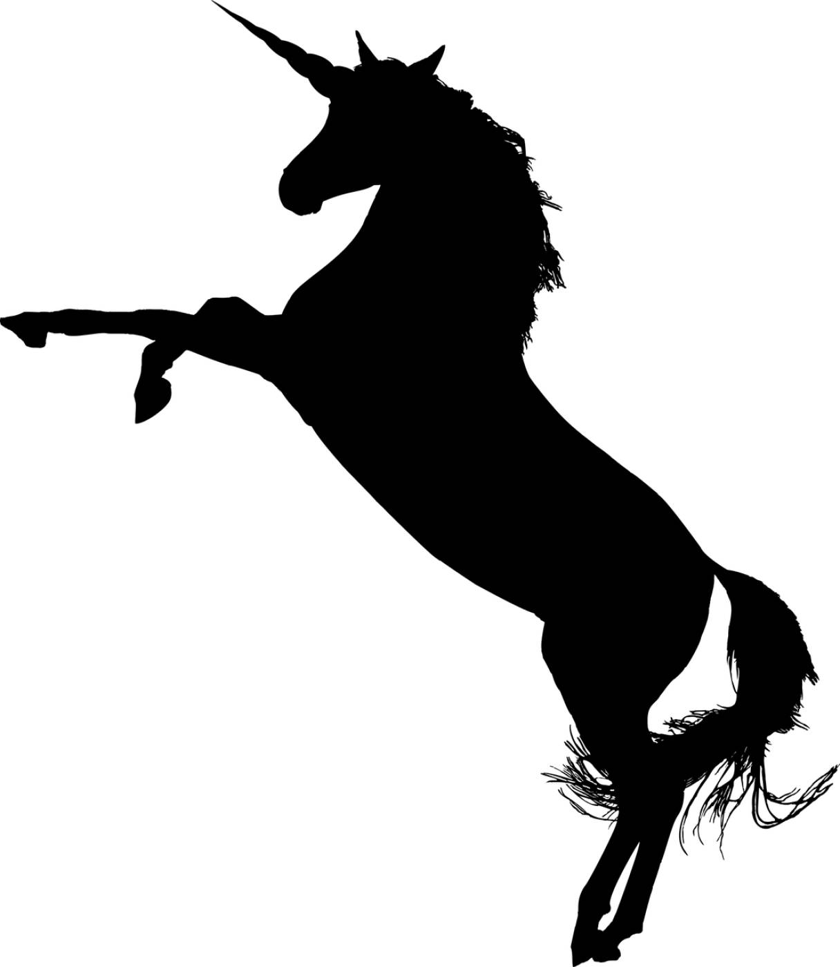 unicorn fantasy animal equine  svg vector