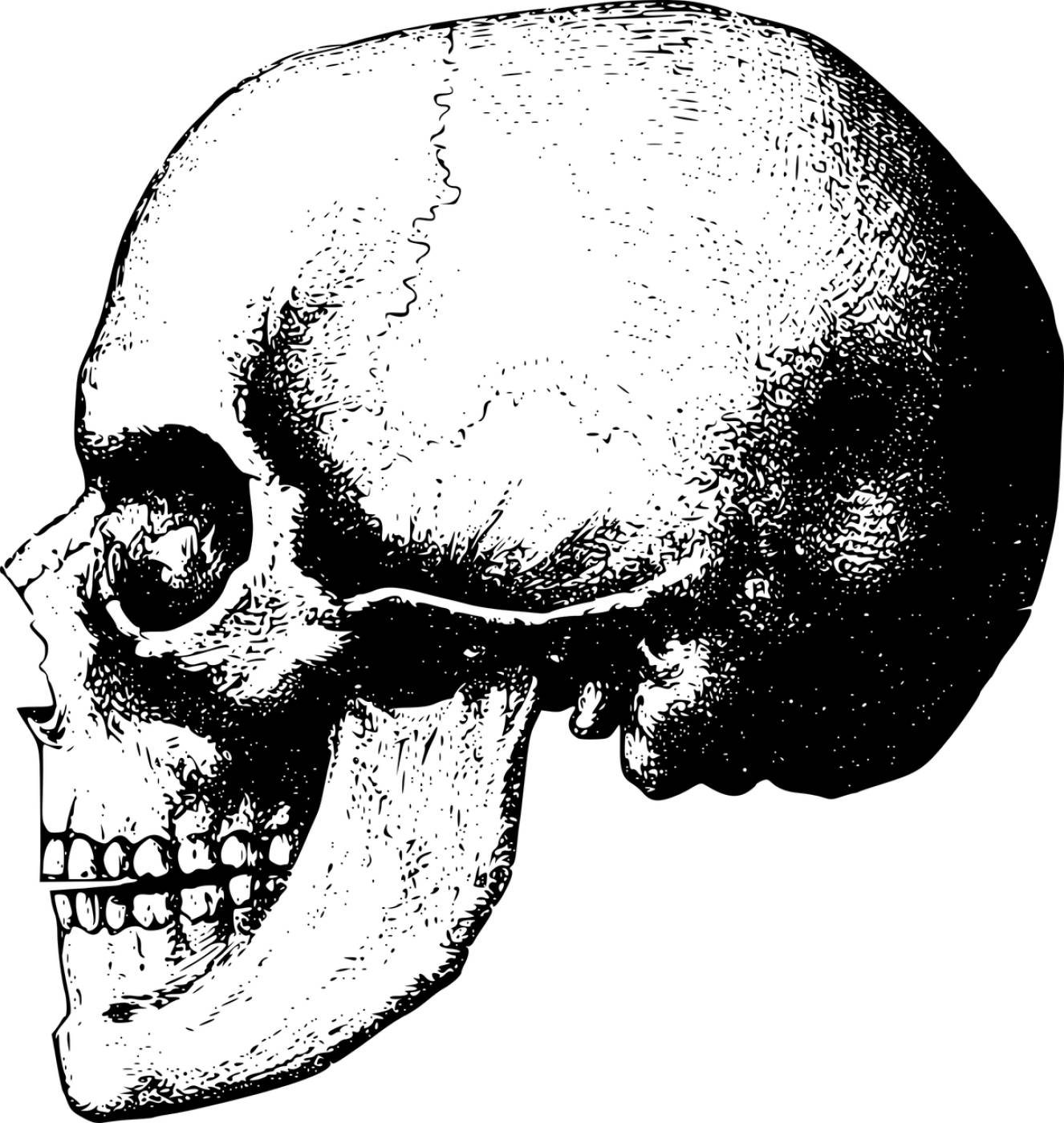 bone game asset call head skeleton  svg vector