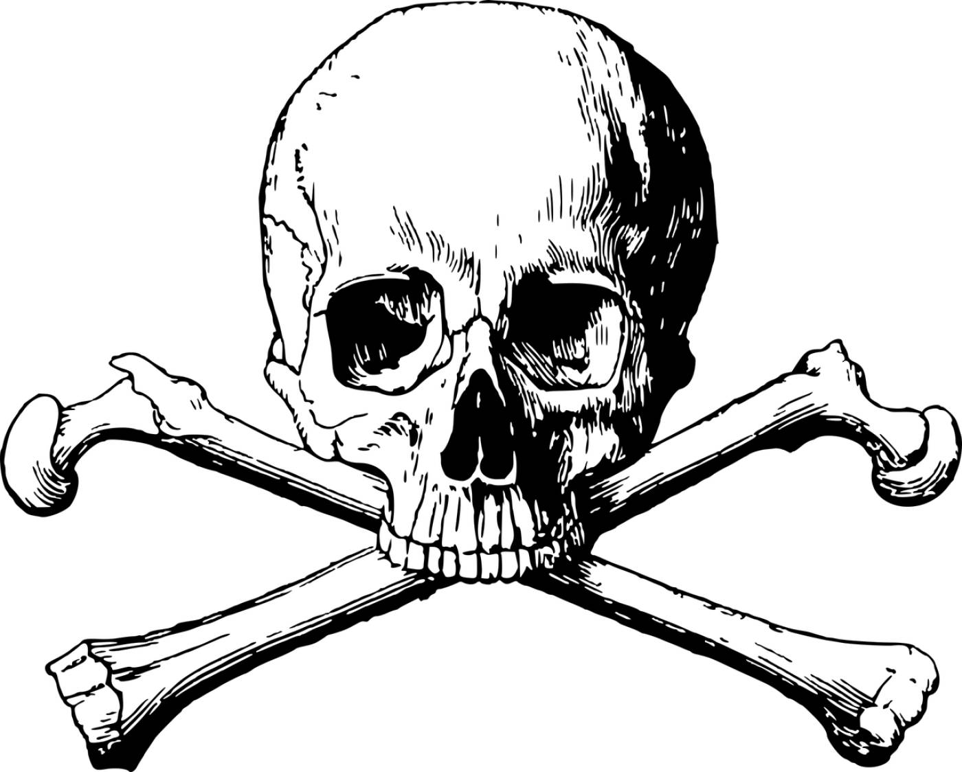 crossbones skull danger death  svg vector