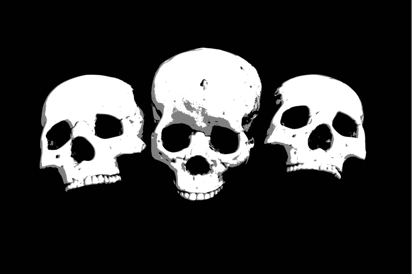 halloween horror skeleton skull  svg vector