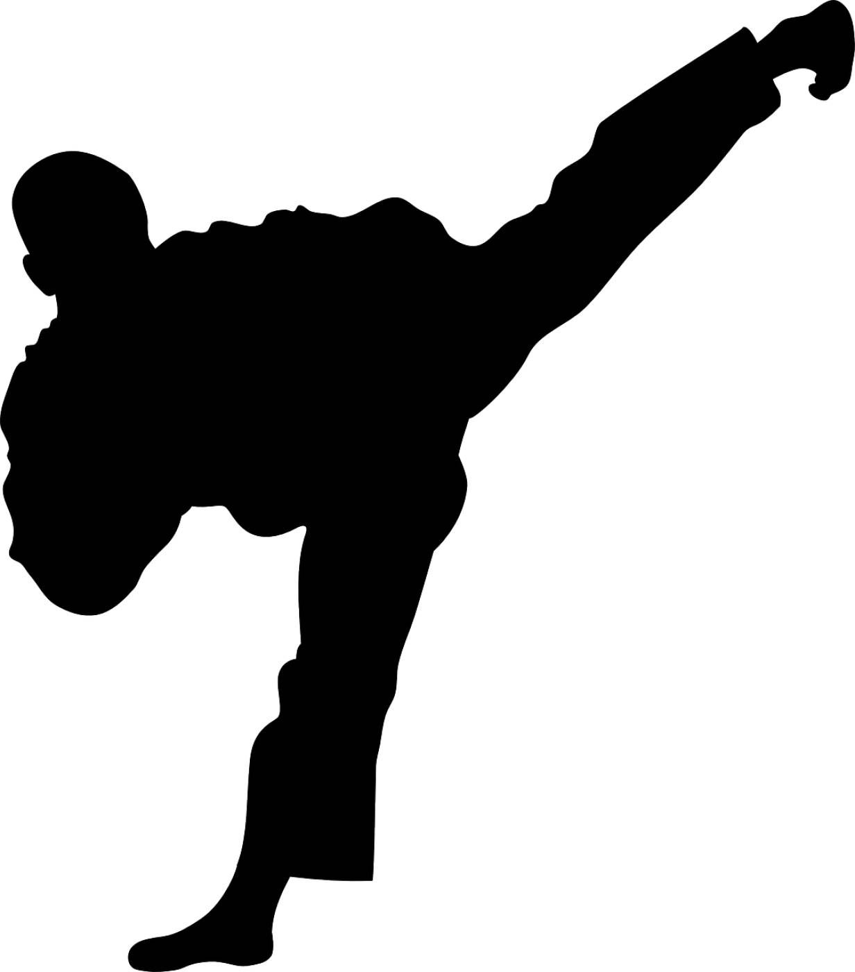karate sidekick muay thai  svg vector