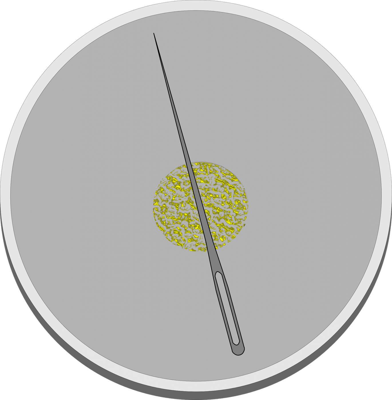 compass do it yourself magnetized  svg vector
