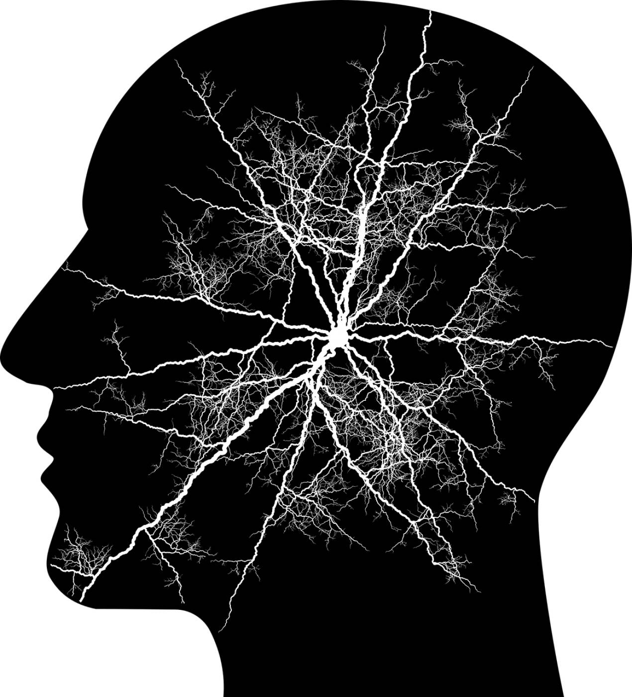 cranium head human male man  svg vector
