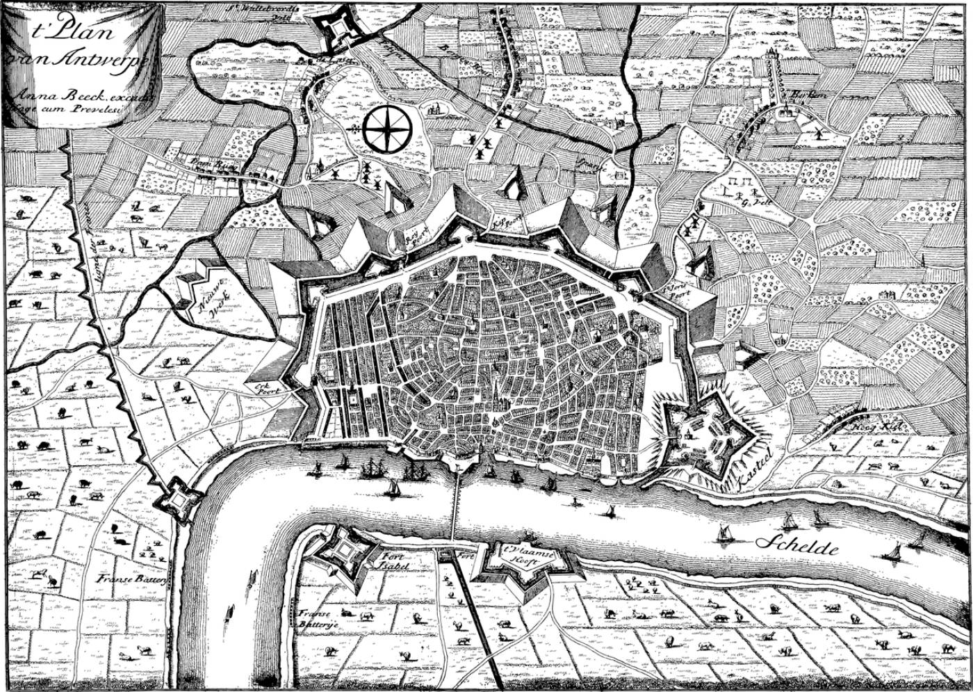 map vintage line art antwerp  svg vector