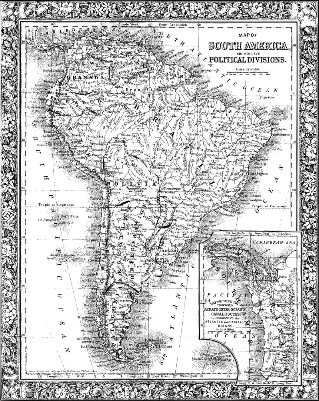 south america map line art  svg vector
