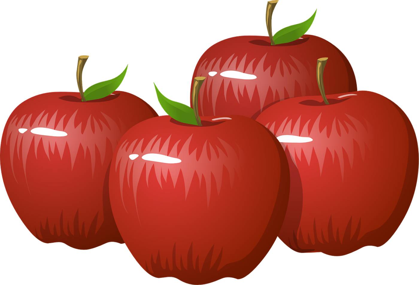 apples fruit food red apples  svg vector