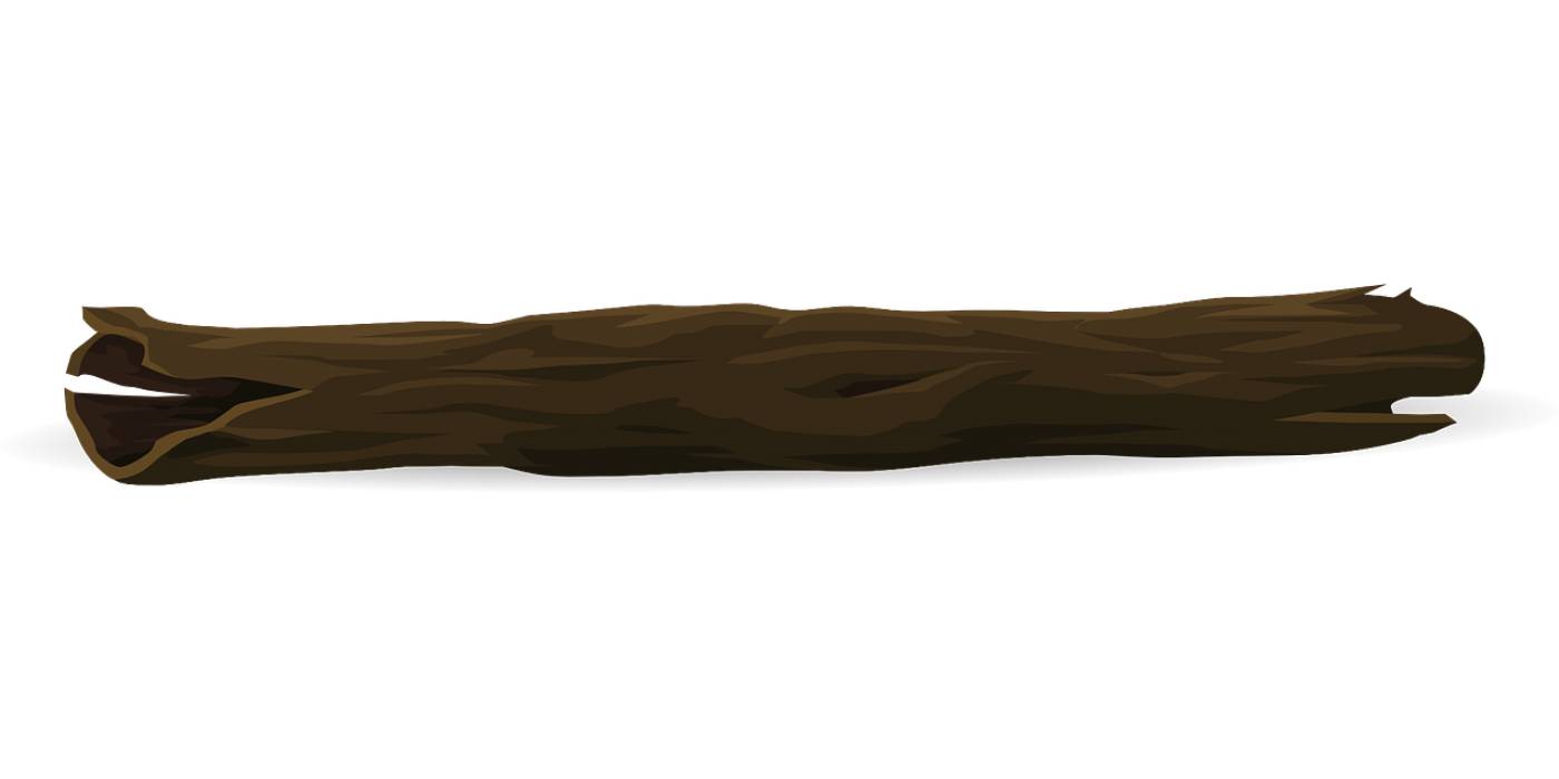 branch wood tree nature branches  svg vector