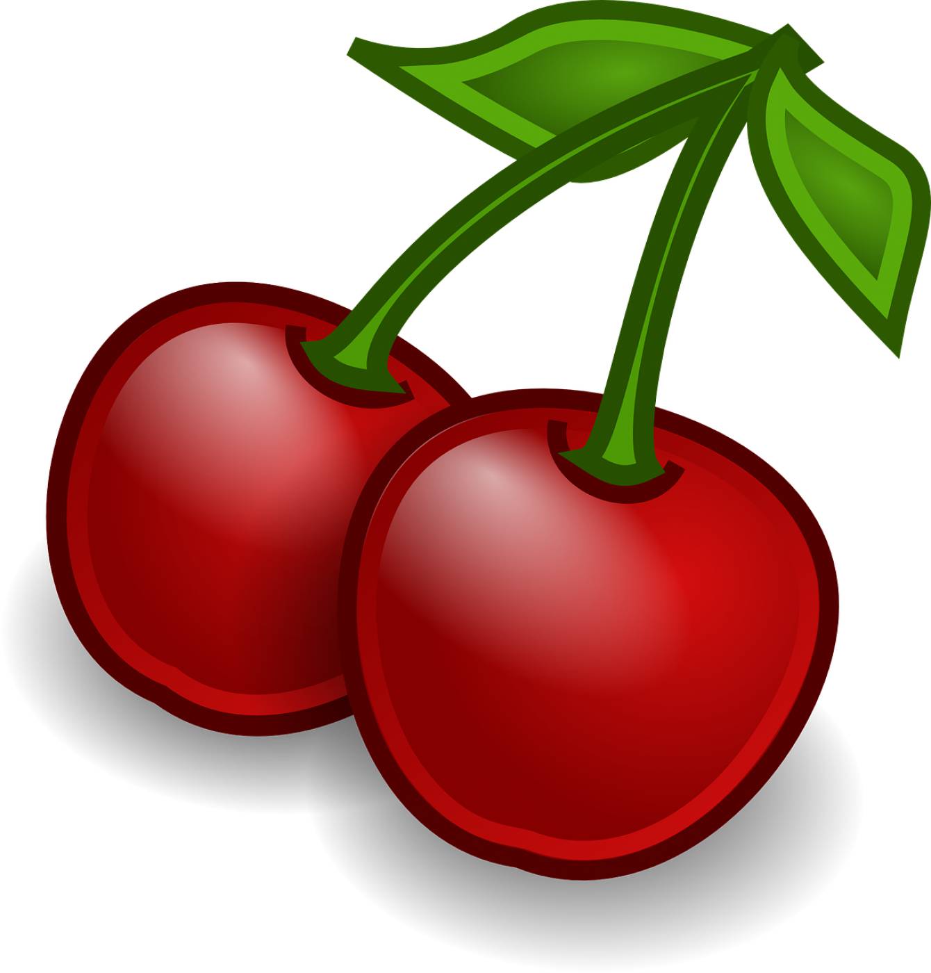 cherries fruit food fresh sweet  svg vector