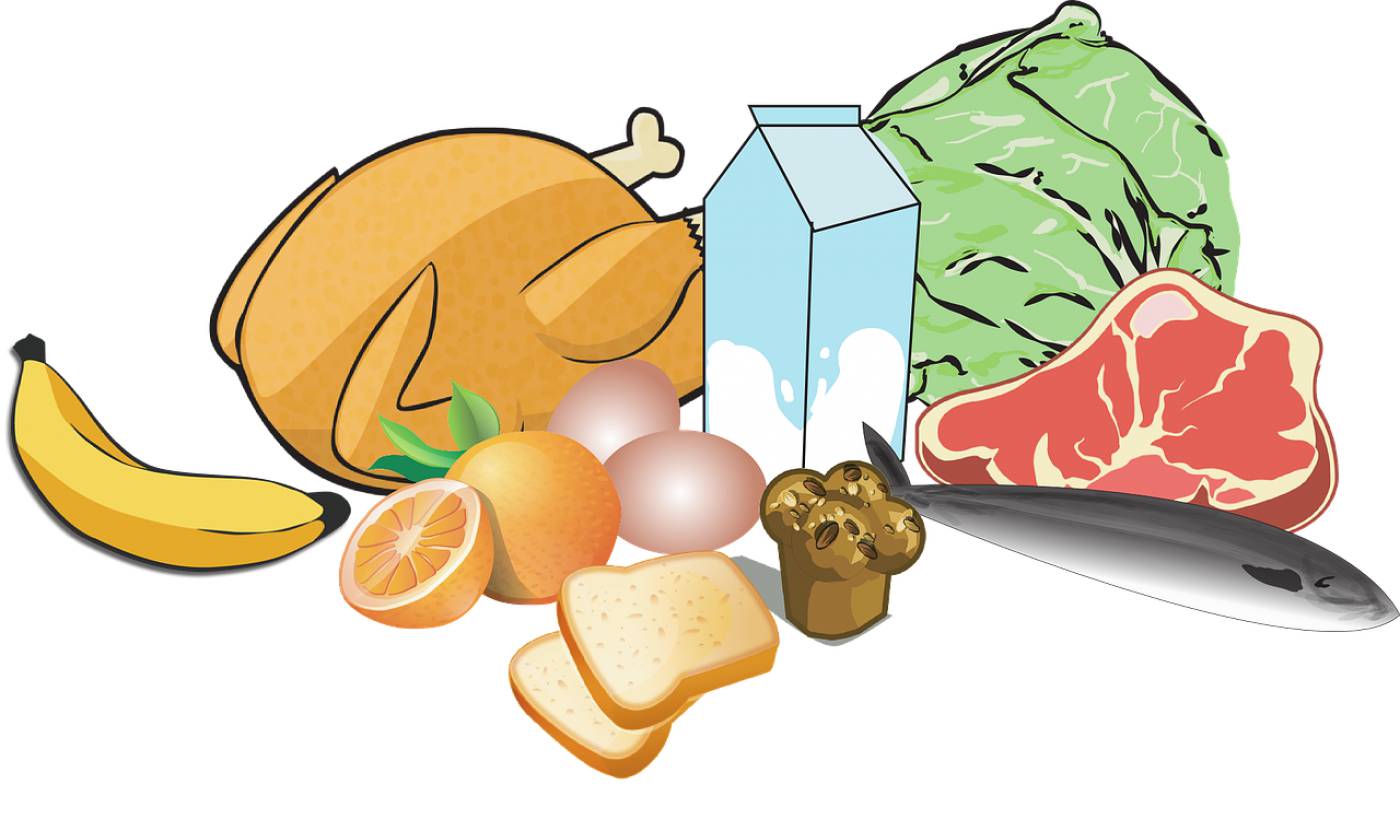 chicken milk eggs fruits fish  svg vector