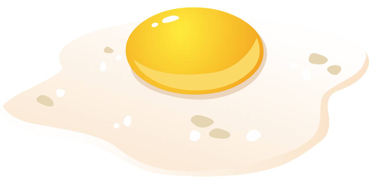 egg fried egg food sunny side up  svg vector