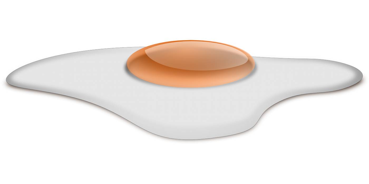fried egg food breakfast  svg vector