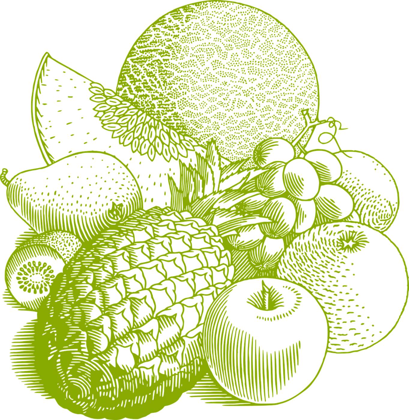 fruits vintage food healthy retro  svg vector