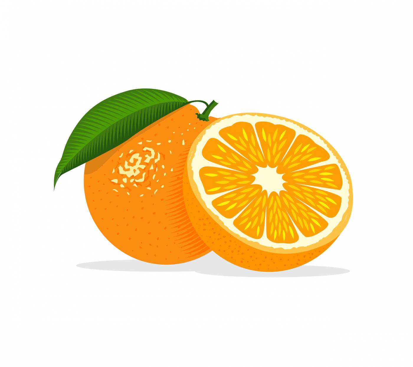 orange fruit food healthy leaf  svg vector