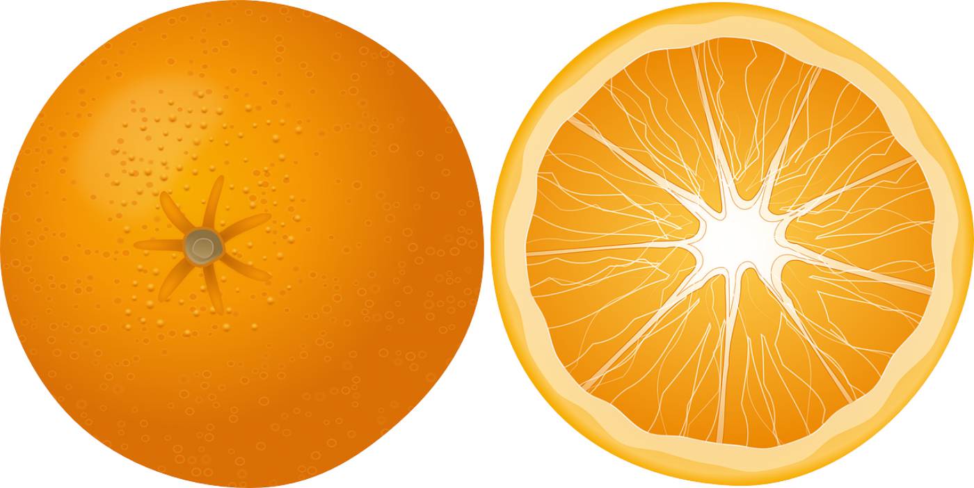 orange fruit food mandarin citrus  svg vector