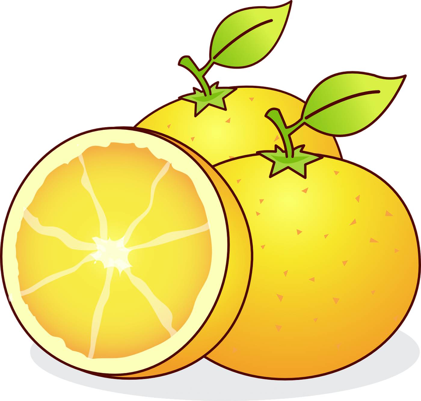 oranges fruits food citrus sinensis  svg vector