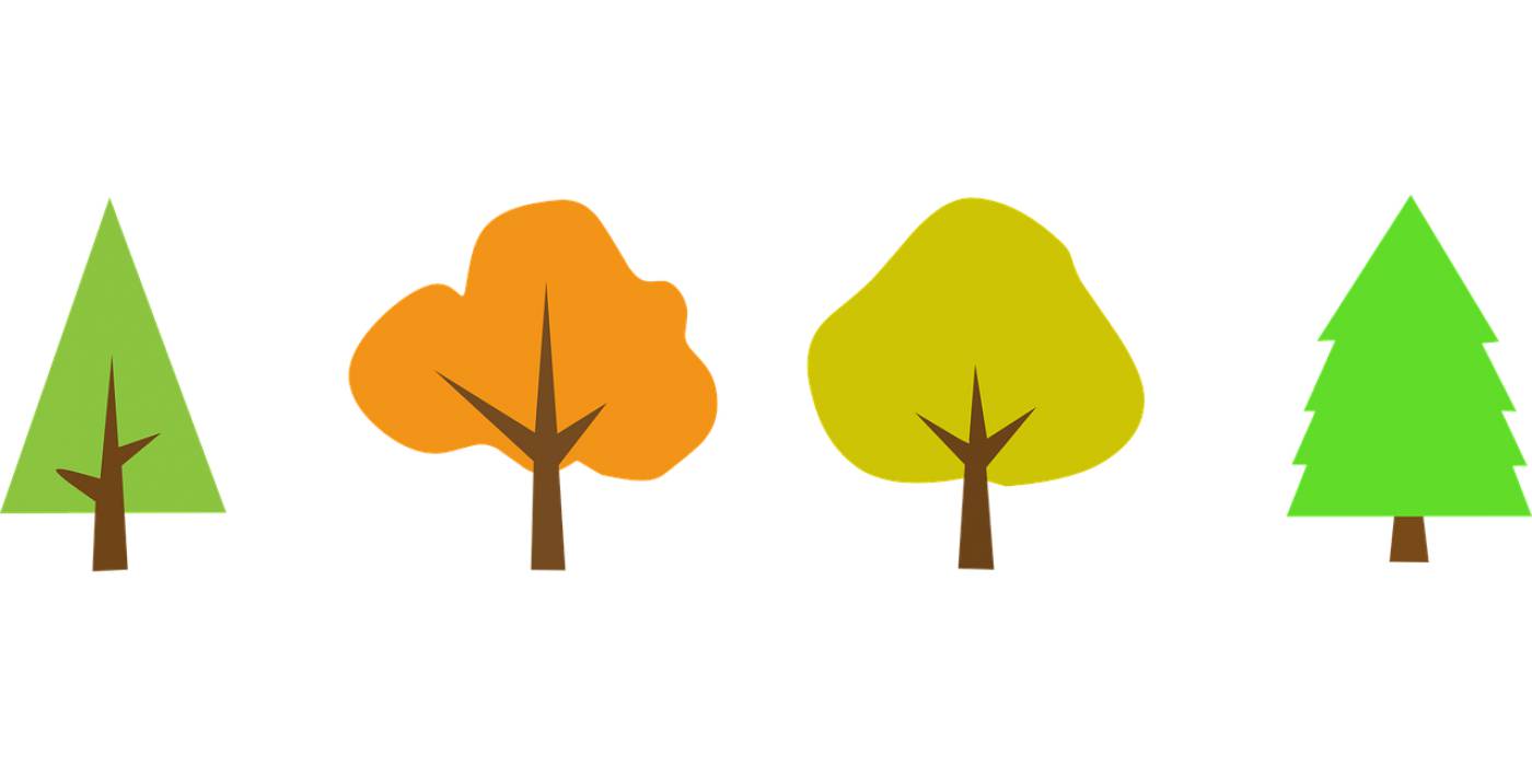 tree wood clipart sticker  svg vector