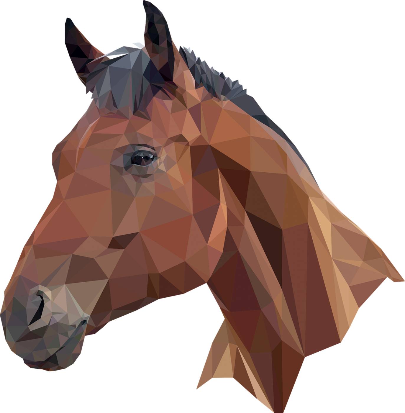 horse head equine low poly horse  svg vector
