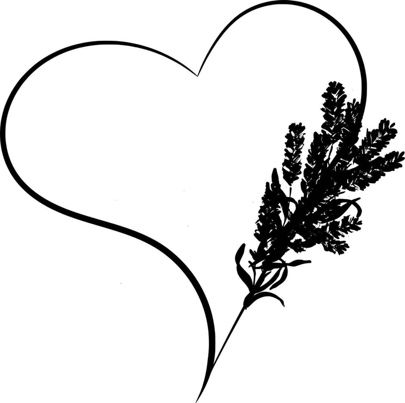 heart lavender herbs love  svg vector