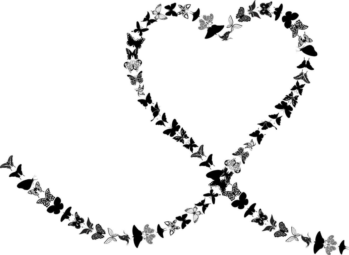 heart love flying insect  svg vector